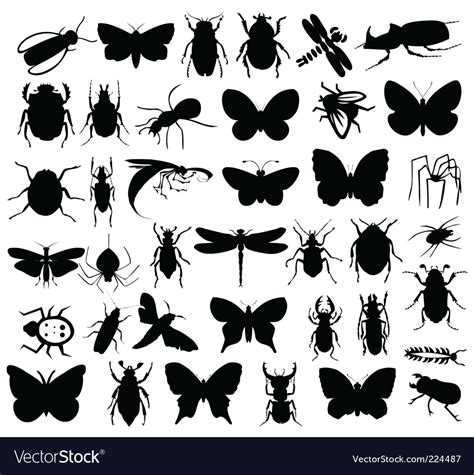 Download Free Insects Silhouettes SVG Bundle Silhouette